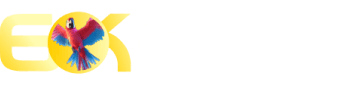 Kbetsports com - Betpix365